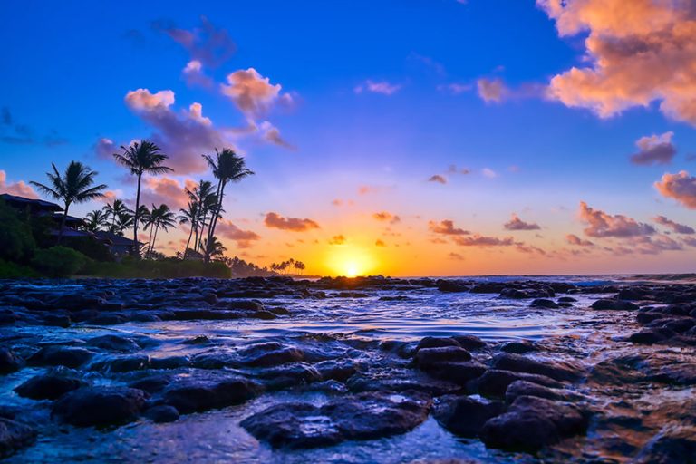 Discover Kauai Coffee Hours: Your Ultimate Guide